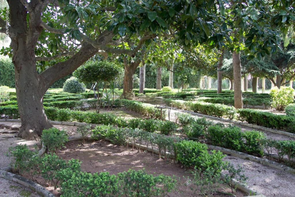 Masseria Appide Hotel Corigliano d'Otranto Exterior photo